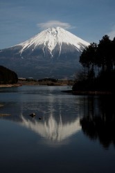 ZZZ_UNK_Chiyo No Fuji No Ooichou (Bad CHR 862d2bdb) Rom